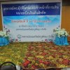 DSCN4123